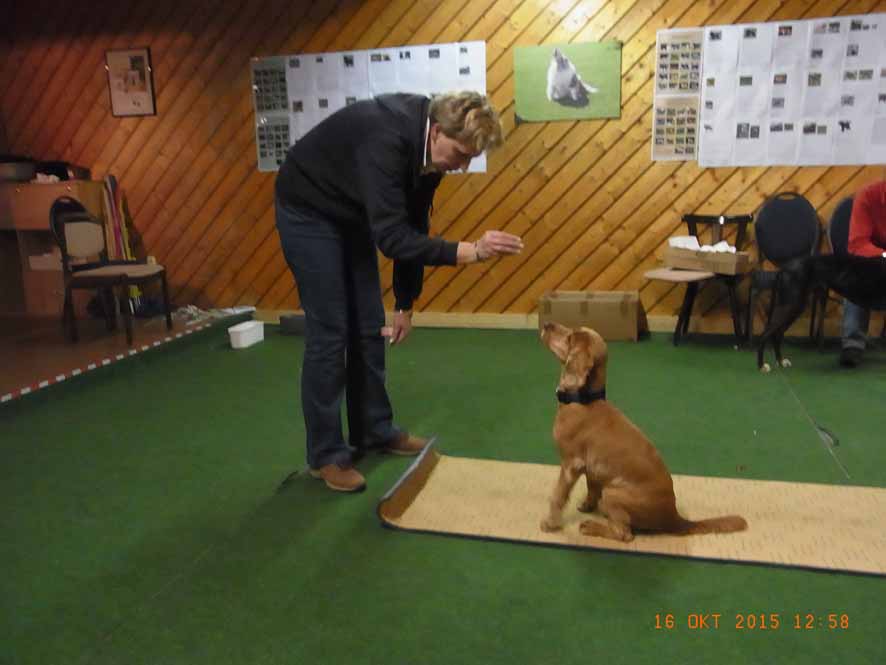 Roll out - Odin4 Note 1.jpg (886 x 665)